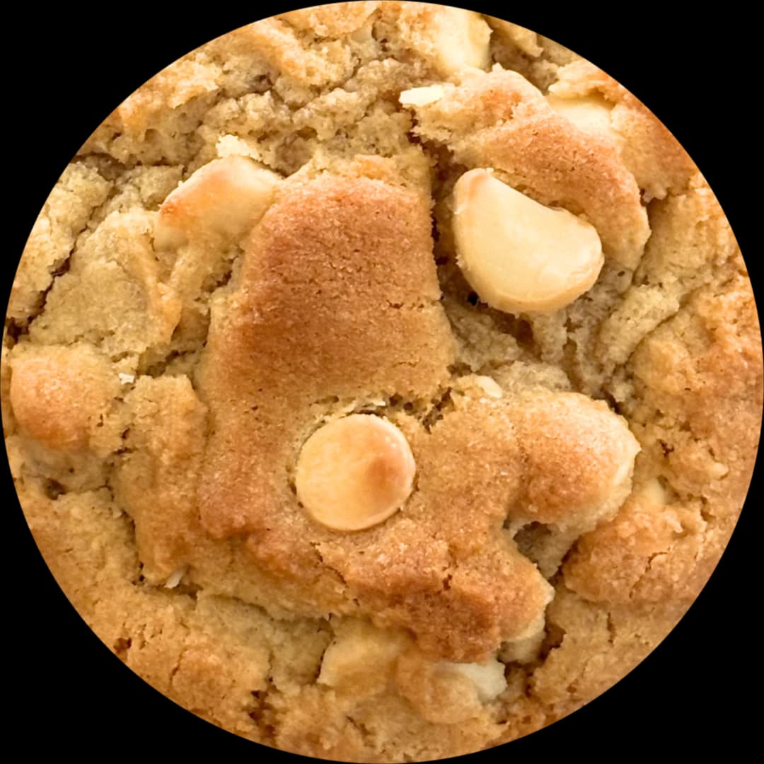 A white chocolate macadamia cookie
